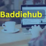 Understanding The Baddiehub: A Complete Guide